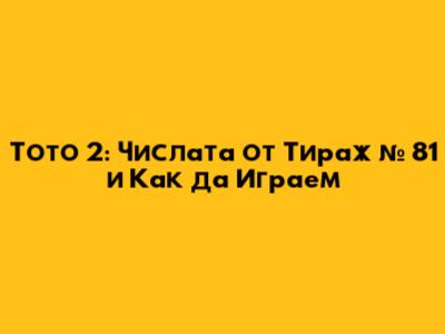 Тото 2: Числата от Тираж № 81 и Как да Играем