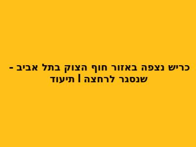 כריש נצפה באזור חוף הצוק בתל אביב - שנסגר לרחצה | תיעוד
