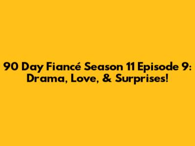 90 Day Fiancé Season 11 Episode 9: Drama, Love, & Surprises!