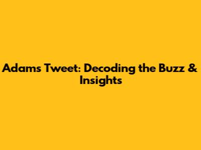 Adam's Tweet: Decoding the Buzz & Insights