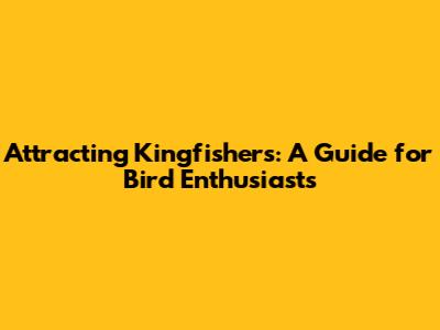 Attracting Kingfishers: A Guide for Bird Enthusiasts