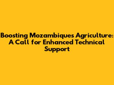 Boosting Mozambique's Agriculture: A Call for Enhanced Technical Support