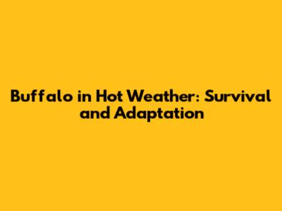 Buffalo in Hot Weather: Survival and Adaptation