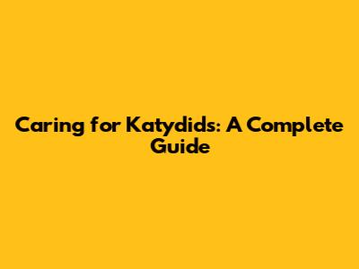 Caring for Katydids: A Complete Guide