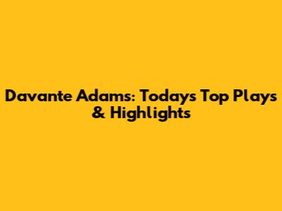 Davante Adams: Today's Top Plays & Highlights