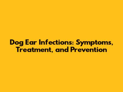 Dog Ear Infections: Symptoms, Treatment, and Prevention