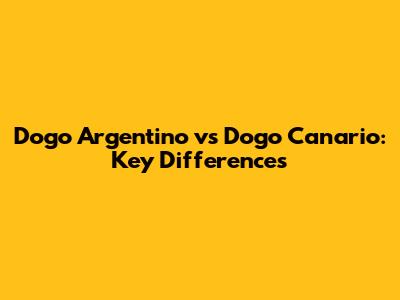 Dogo Argentino vs Dogo Canario: Key Differences