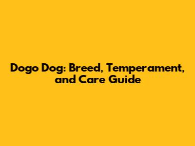 Dogo Dog: Breed, Temperament, and Care Guide