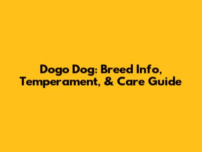 Dogo Dog: Breed Info, Temperament, & Care Guide