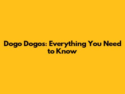 Dogo Dogos: Everything You Need to Know