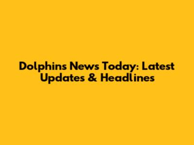 Dolphins News Today: Latest Updates & Headlines