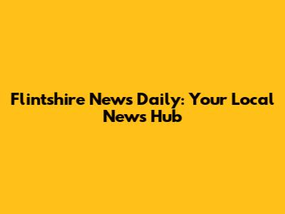 Flintshire News Daily: Your Local News Hub