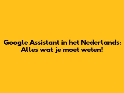 Google Assistant in het Nederlands: Alles wat je moet weten!