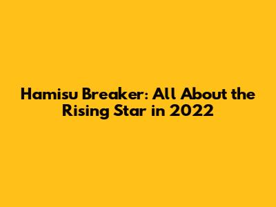 Hamisu Breaker: All About the Rising Star in 2022