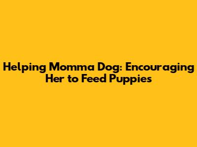 Helping Momma Dog: Encouraging Her to Feed Puppies
