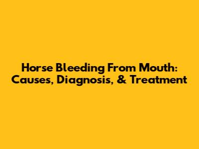 Horse Bleeding From Mouth: Causes, Diagnosis, & Treatment