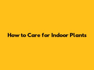 How to Care for Indoor Plants