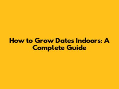 How to Grow Dates Indoors: A Complete Guide