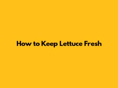 How to Keep Lettuce Fresh