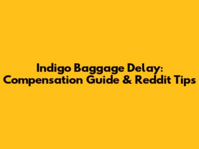 Indigo Baggage Delay: Compensation Guide & Reddit Tips