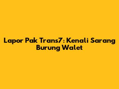 Lapor Pak Trans7: Kenali Sarang Burung Walet