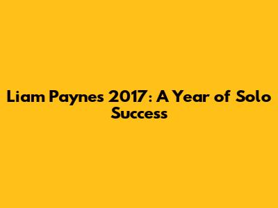 Liam Payne's 2017: A Year of Solo Success