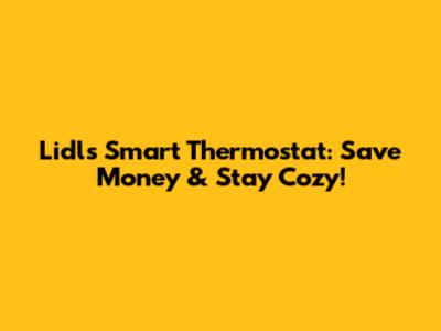 Lidl's Smart Thermostat: Save Money & Stay Cozy!