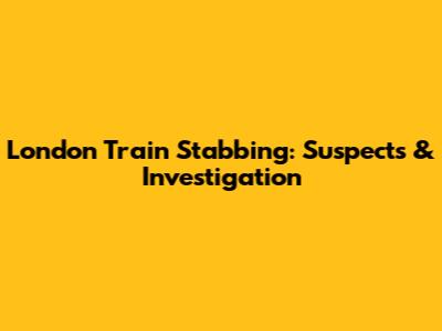 London Train Stabbing: Suspects & Investigation