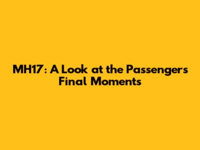 MH17: A Look at the Passengers' Final Moments