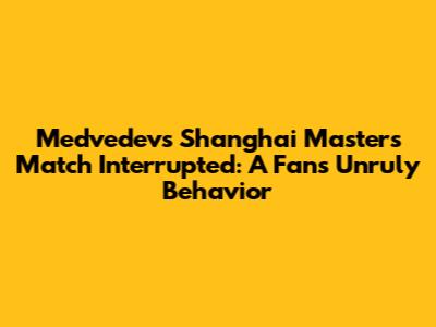 Medvedev's Shanghai Masters Match Interrupted: A Fan's Unruly Behavior