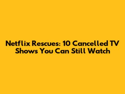 Netflix Rescues: 10 Cancelled TV Shows You Can Still Watch