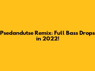 Psedandutse Remix: Full Bass Drops in 2022!