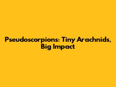 Pseudoscorpions: Tiny Arachnids, Big Impact