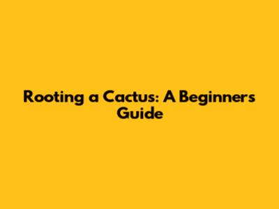Rooting a Cactus: A Beginner's Guide