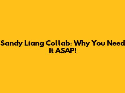 Sandy Liang Collab: Why You Need It ASAP!