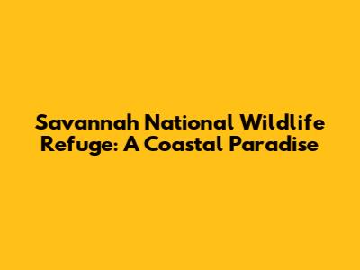 Savannah National Wildlife Refuge: A Coastal Paradise