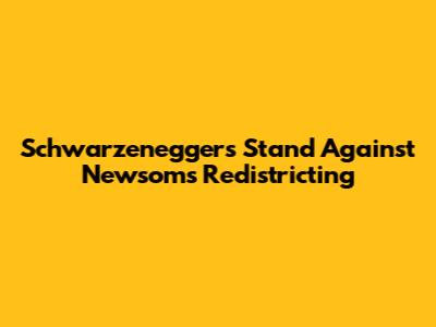 Schwarzenegger's Stand Against Newsom's Redistricting