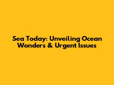 Sea Today: Unveiling Ocean Wonders & Urgent Issues