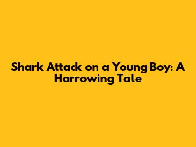 Shark Attack on a Young Boy: A Harrowing Tale