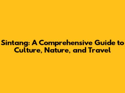 Sintang: A Comprehensive Guide to Culture, Nature, and Travel