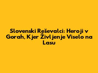 Slovenski Reševalci: Heroji v Gorah, Kjer Življenje Viselo na Lasu