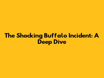 The Shocking Buffalo Incident: A Deep Dive