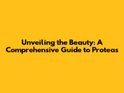 Unveiling the Beauty: A Comprehensive Guide to Proteas