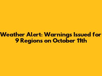 Weather Alert: Warnings Issued for 9 Regions on October 11th