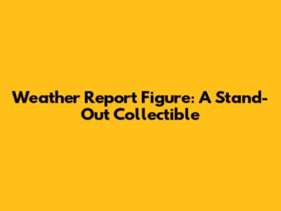 Weather Report Figure: A Stand-Out Collectible