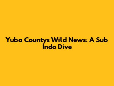 Yuba County's Wild News: A Sub Indo Dive