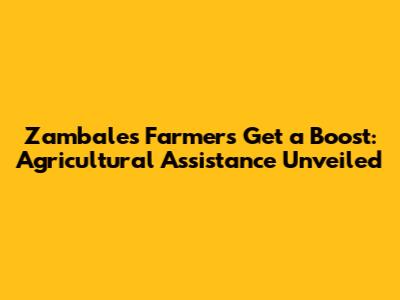 Zambales Farmers Get a Boost: Agricultural Assistance Unveiled